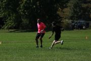 OTFL Gallery Image